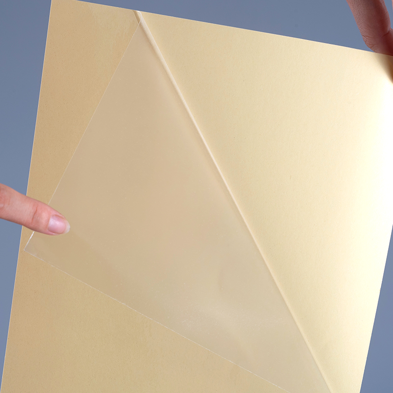 Nhãn in nhãn dán Vinyl tự dính trong suốt 50mic Nhãn cuộn Jumbo