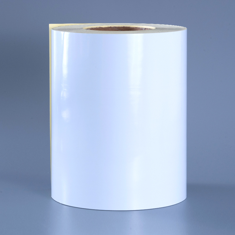 Nhãn tự dính màng nhựa PET màu trắng bóng 50mic với cuộn Jumbo keo acrylic dung môi để in kỹ thuật số