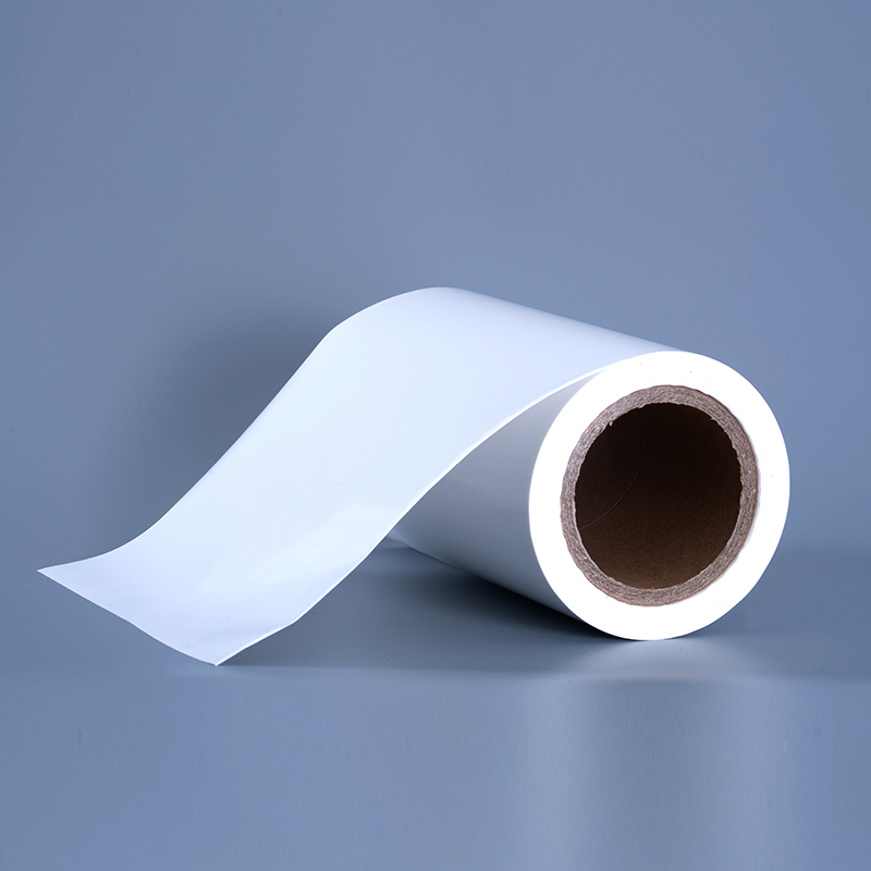 Vật liệu nhãn màng nhựa PET bóng 25mic với cuộn Jumbo dính acrylic để in phun