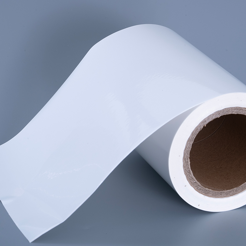 Vật liệu nhãn màng nhựa PET bóng 25mic với cuộn Jumbo dính acrylic để in phun